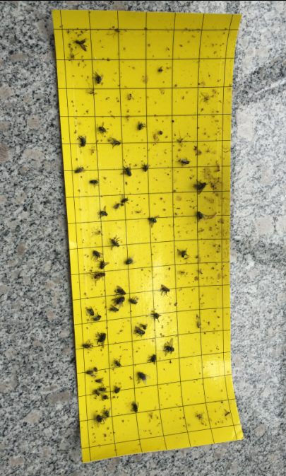 ���ӹ�ճ��ʽ���x����ճ�x��